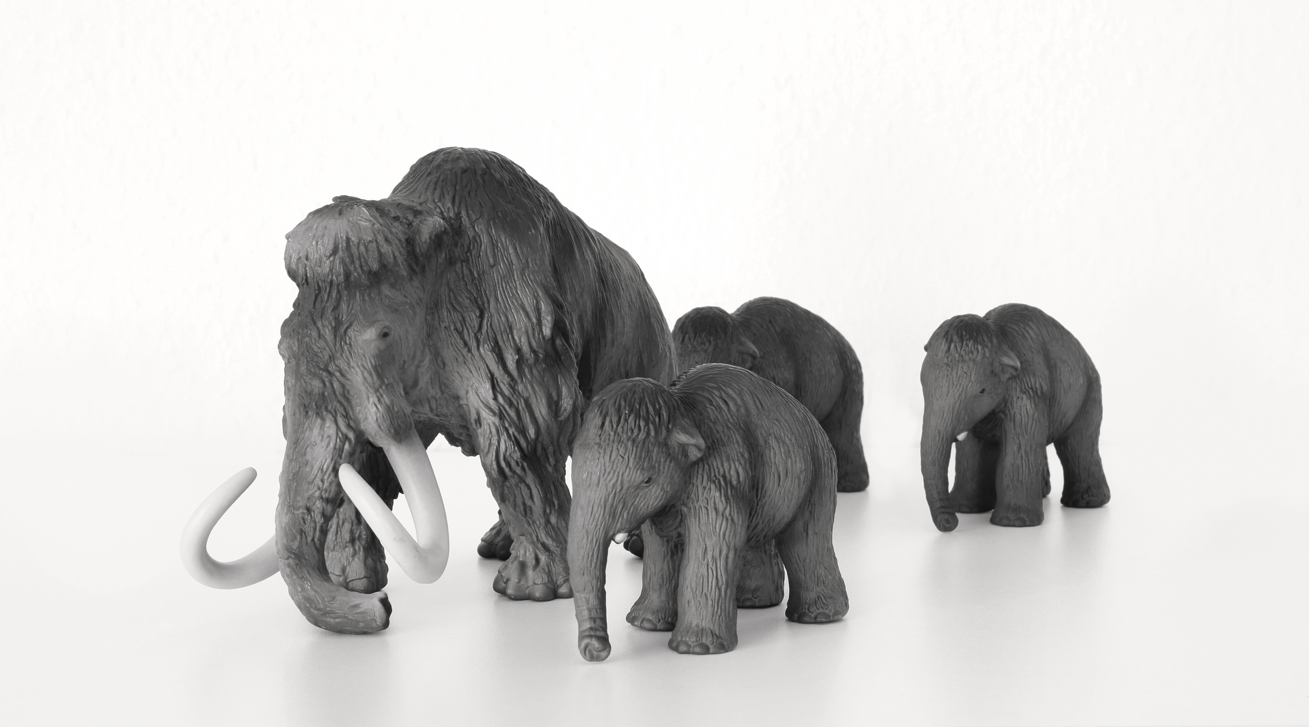 Inhabergeführte Unternehmensberatung ist Top Consultant.