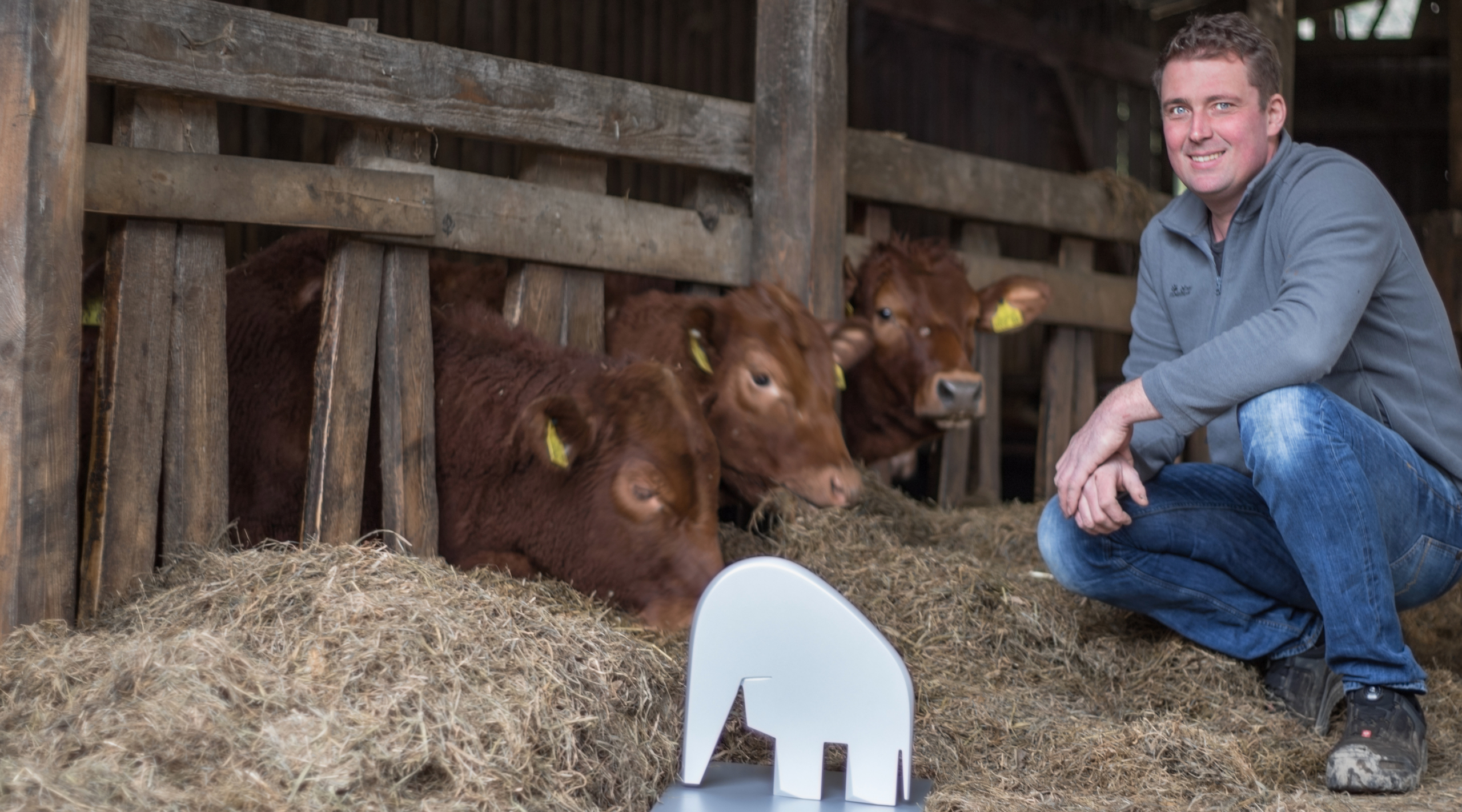Unternehmensberatung aus Hamburg setzt Sanierungskonzept nach IDW S6 für Biogasanlage um